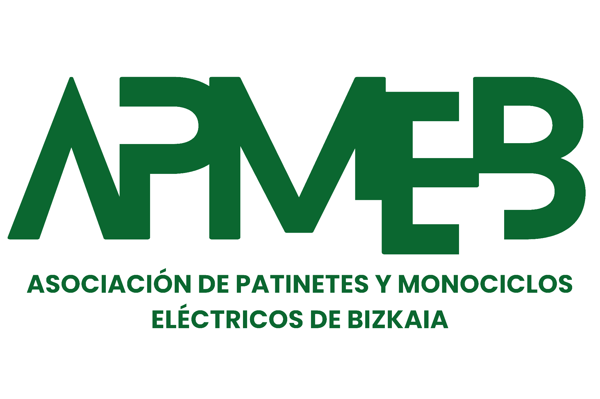 Asociación de Patinetes y Monociclos Eléctricos de Bizkaia